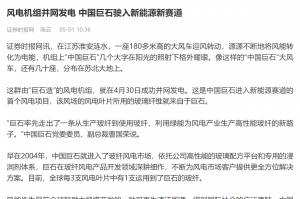 时报：风电机组并网发电 中国利来w66驶入新能源新赛道